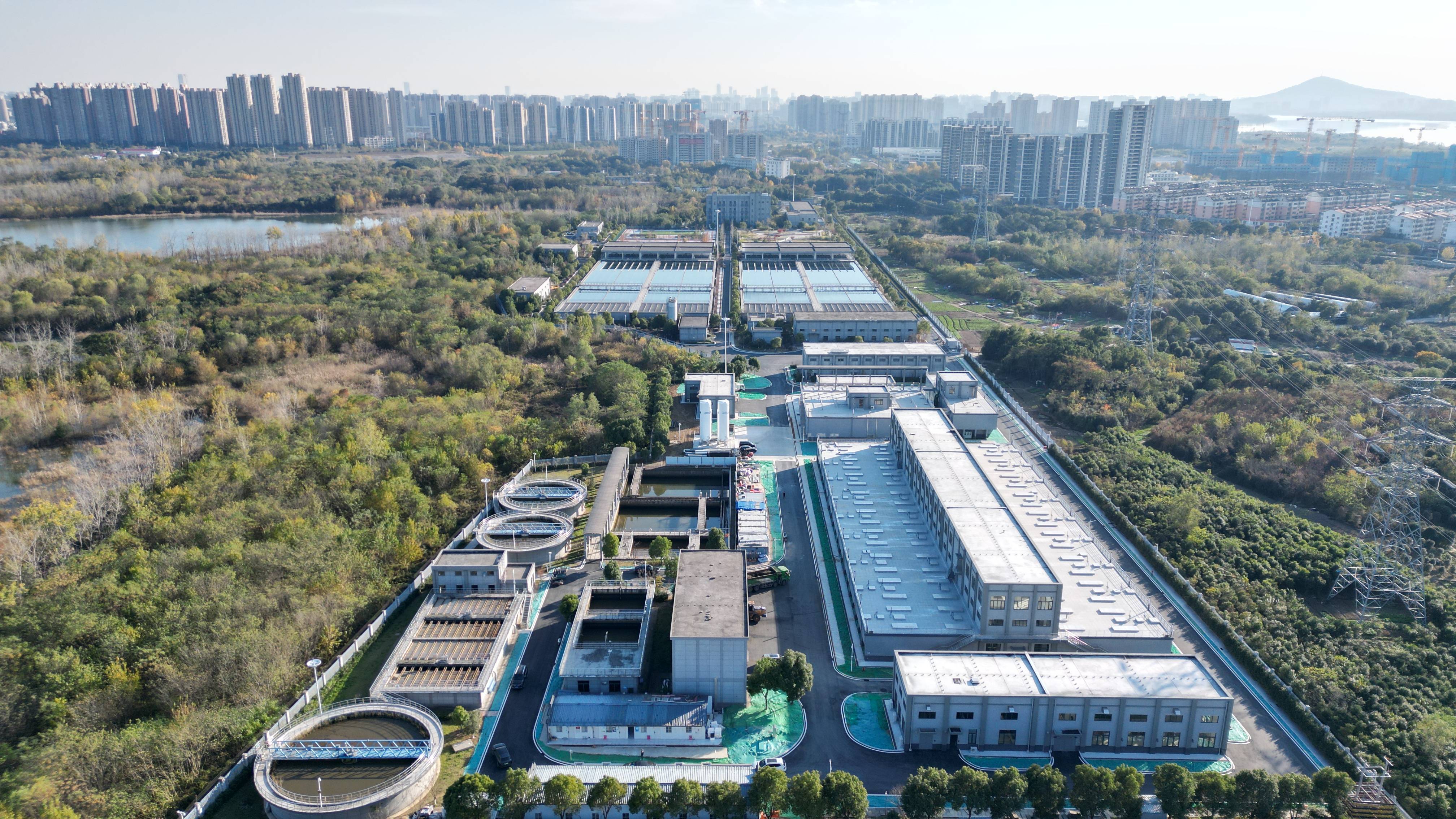共和县合肥专业企业价值增长(合肥市重点企业产业目录)