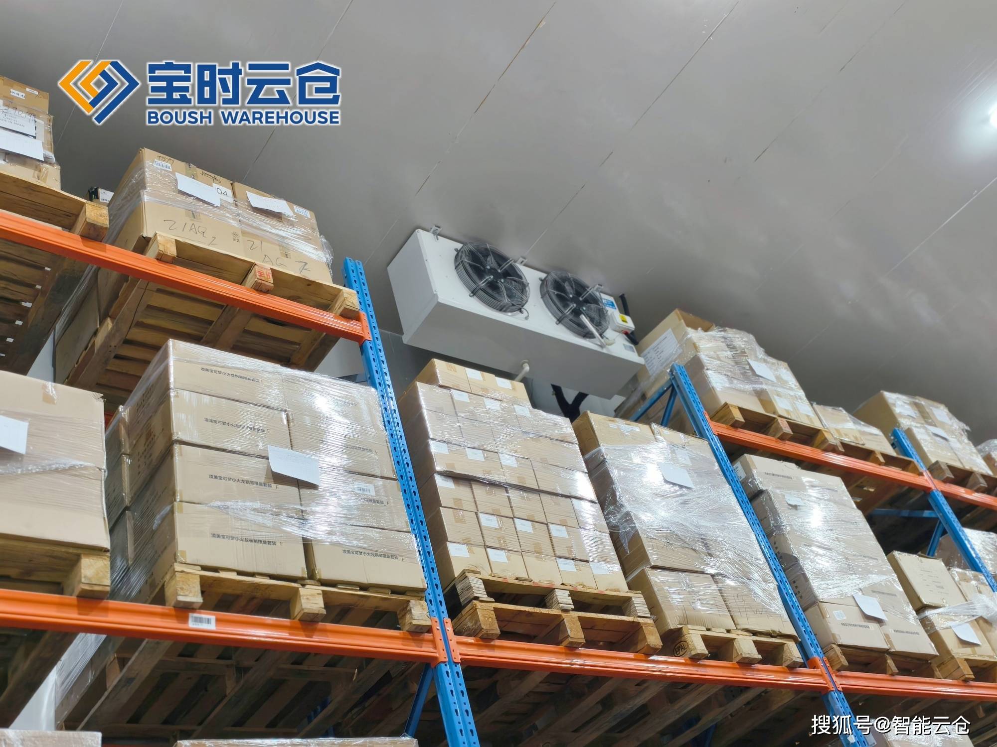 共和县领先物流品牌升级(领先物流服务商是自营物流)