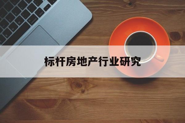 共和县标杆房地产行业研究(房地产领域的标杆人物)