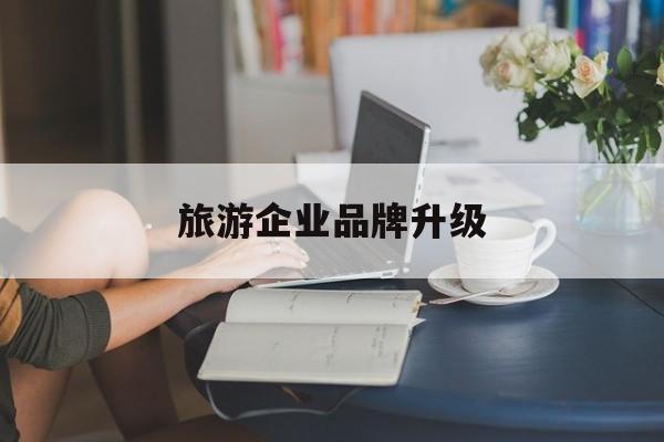 共和县旅游企业品牌升级(旅游企业品牌升级措施)
