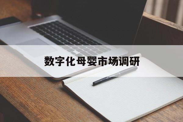 共和县数字化母婴市场调研(数字化母婴市场调研报告)