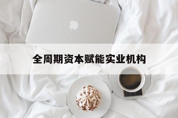共和县全周期资本赋能实业机构(全周期管理)